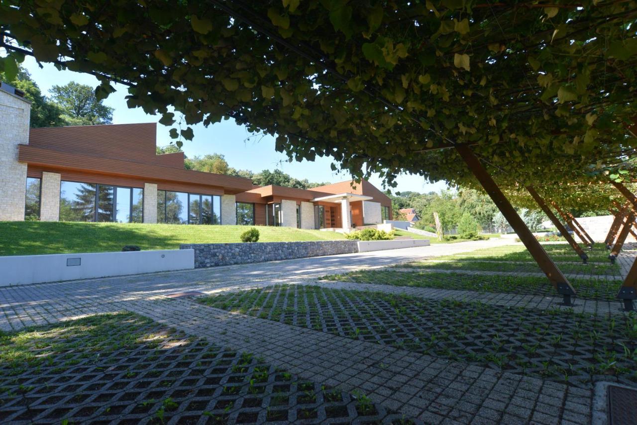 Villa Luxury Rooms - Wine Resort 斯梅代雷沃 外观 照片